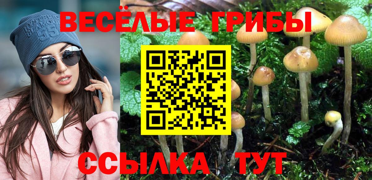 Псилоцибиновые грибы Magic Shrooms Пушкино