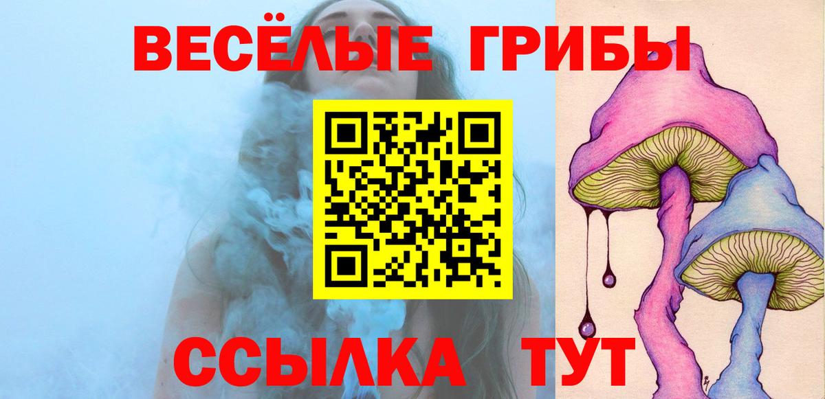 Пушкино  Псилоцибиновые грибы Cubensis  где купить наркотик  Псилоцибиновые грибы прущие грибы  Вход с VPN 